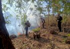 Polres-TTU-Sigap-Tangani-Karhutla-di-Kawasan-Hutan-Keun,-Personel-Raimas-dan-Polsek-Insana-Bergerak-Cepat-Padamkan-Api