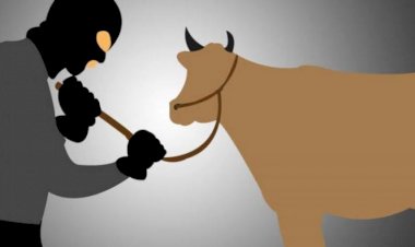 Anggota-Reskrim-Polsek-Bian-mengamankan-pelaku-pencurian-ternak