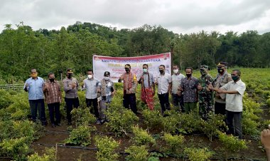 LAUNCHING-KAMPUNG-TANGGUH-KETAHANAN-PANGAN--NUSANTARA-DI-DESA-LOKOMEA,-KECAMATAN-BIBOKI-UTARA