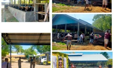 Kapolsek-Insana-Utara-Sidak-ke-Kantor-Karantina-Hewan,-Ini-Tujuannya