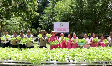 Gelar-Panen-di-Kebun-P2L-Mapolres-TTU,-Ketua-Bhayangkari-Cabang-TTU:-Sudah-Tiga-Kali-Panen