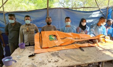 Kapolsek-Miomaffo-Timur-Dampingi-Tim-Forensik-Polda-NTT-Lakukan-Autopsi-Jenazah-Yohanes-Metan