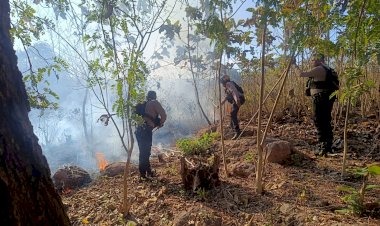 Polres-TTU-Sigap-Tangani-Karhutla-di-Kawasan-Hutan-Keun,-Personel-Raimas-dan-Polsek-Insana-Bergerak-Cepat-Padamkan-Api