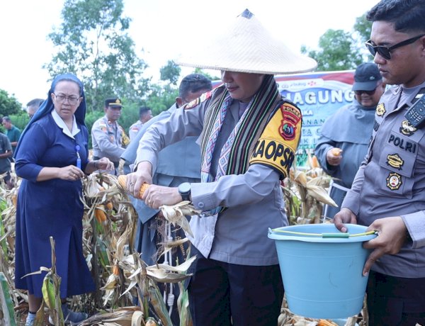 Panen Jagung Melimpah, Warga Kelompok Tani Sehati Usulkan Sumur Bor Bantuan Kapolda NTT
