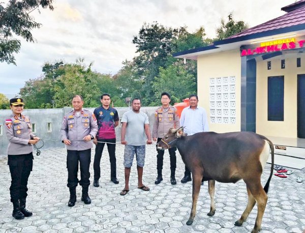 Menebar Keikhlasan, Merajut Kepedulian: Kapolres TTU Pimpin Langsung Penyerahan Hewan Kurban untuk Personel dan Masyarakat
