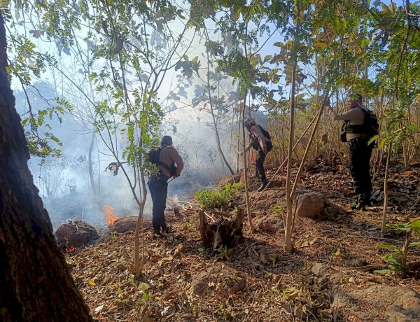 Polres TTU Sigap Tangani Karhutla di Kawasan Hutan Keun, Personel Raimas dan Polsek Insana Bergerak Cepat Padamkan Api