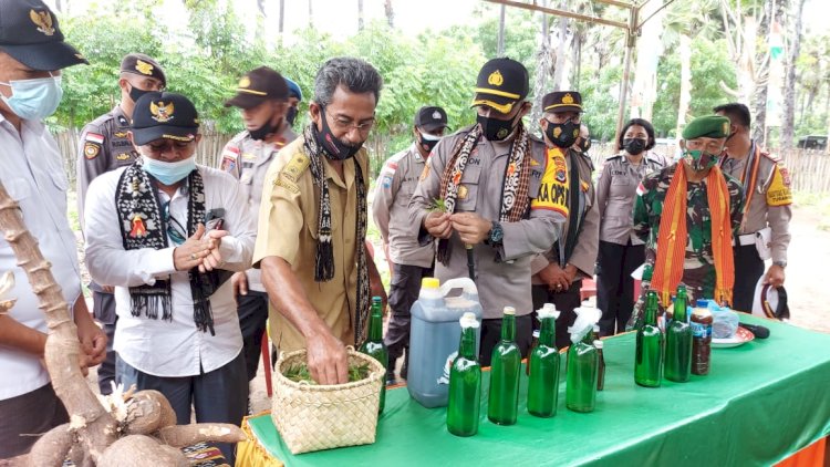 KAPOLRES TTU LAUNCHING DAN RESMIKAN  KAMPUNG TANGGUH PENYULINGAN MINYAK KAYU PUTIH DI DESA TUAMESE