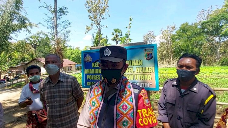 Kisah Bhabinkamtibmas Aplasi Dongkrak Ketahanan Pangan di Masa Pandemi Covid-19