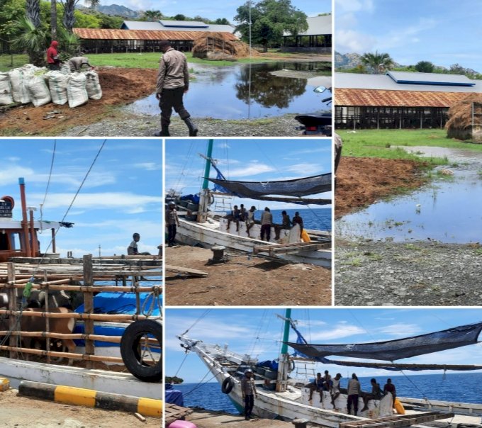 Anggota Polsek Insut Razia ke Dermaga dan Kantor Karantina Hewan