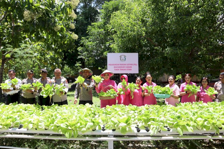 Gelar Panen di Kebun P2L Mapolres TTU, Ketua Bhayangkari Cabang TTU: Sudah Tiga Kali Panen