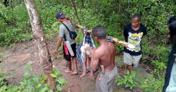 Aksi Heroik Anggota Polsek Biboki Selatan Selamatkan Warga yang Jatuh dari Pohon