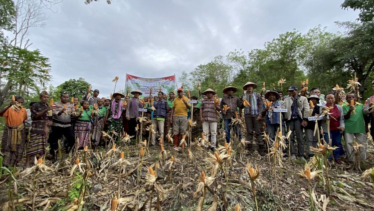 Polres TTU  Gelar Panen Raya Jagung Serentak Kuartal II di Desa Usapinonot, Presiden Prabowo Buka Secara Virtual 