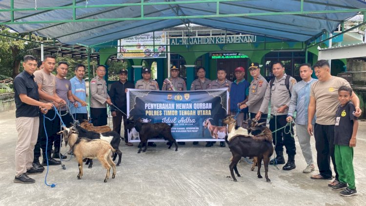 Wujudkan Polri Presisi, Polres TTU Bagikan Hewan Qurban ke Sejumlah Masjid di TTU Jelang Perayaan Idul Adha 1446 H