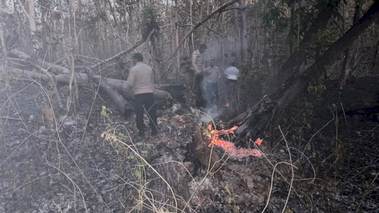 Respons Cepat Polsek Noemuti Padamkan Kebakaran Hutan, Kapolsek Noemuti Pimpin Langsung Pemadaman Sisa Kebakaran Hutan Oeluan
