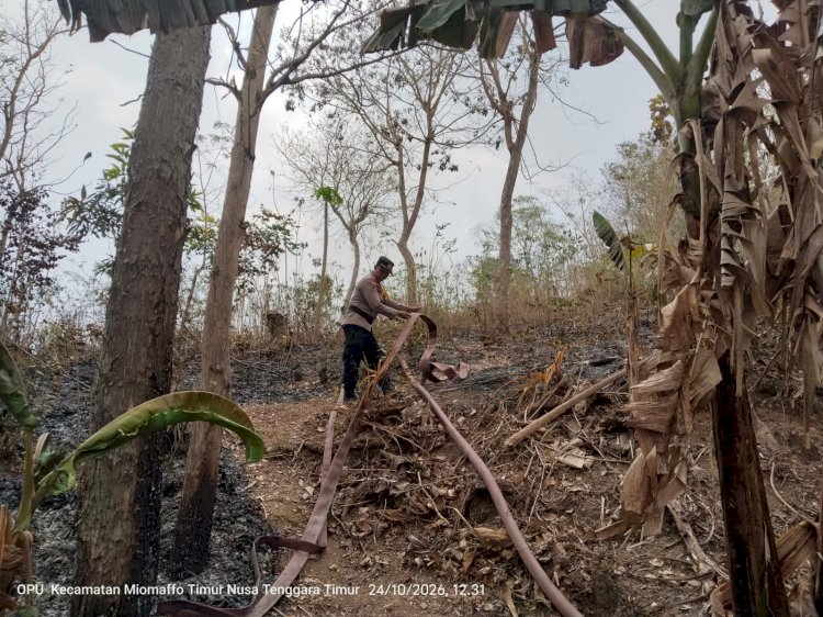 Respons Cepat Polsek Miomaffo Timur Bersama Warga dan BPBD Padamkan Kebakaran Hutan di Oesena