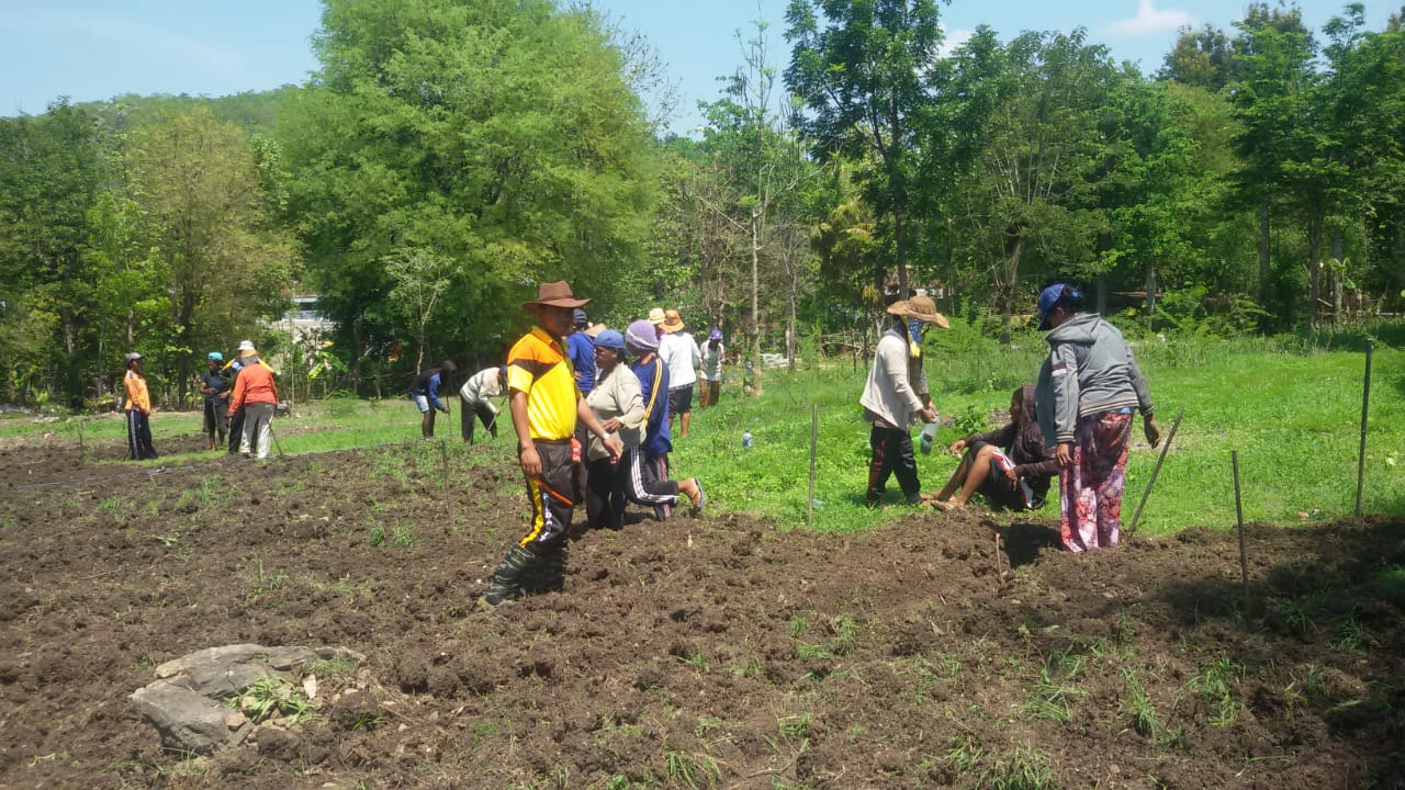 Sukses bina kelompok tani, Brigpol Virmon ajak warga olah lahan kosong di Polres TTU