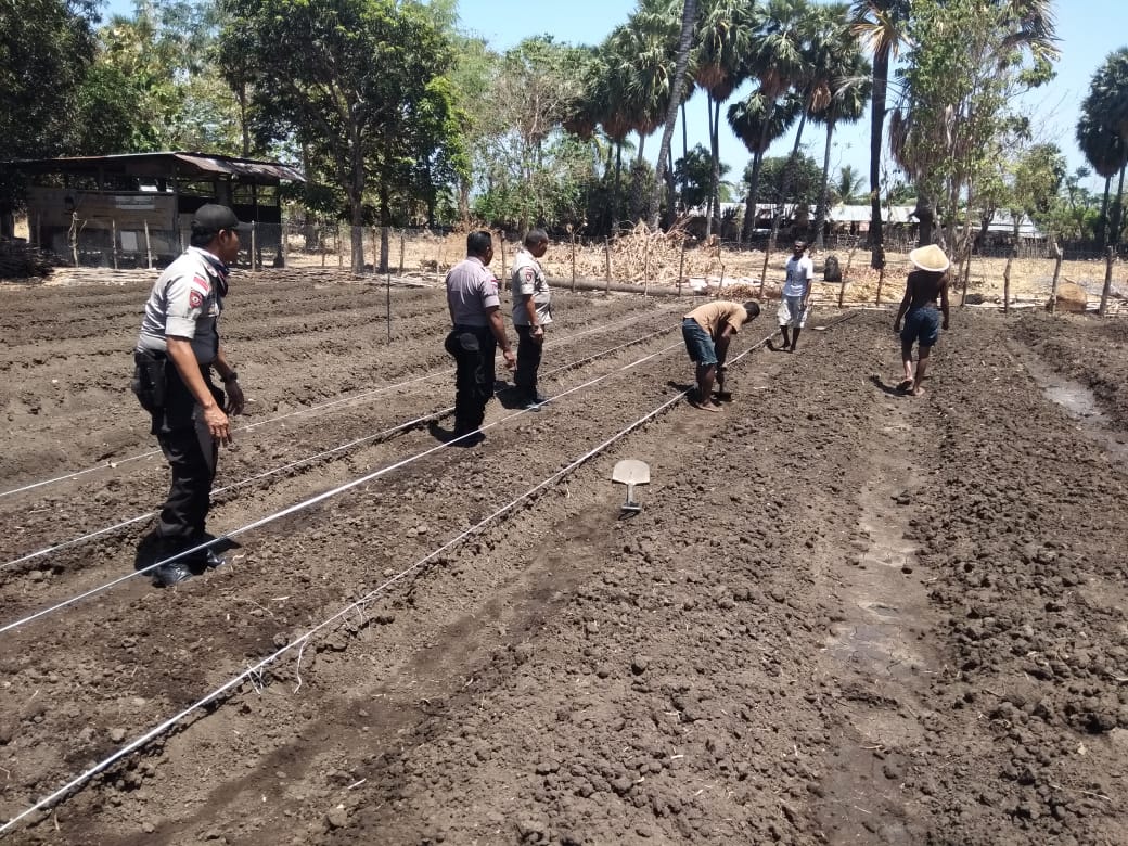 INSIATIF BRIGPOL SEKUNDUS SULAP LAHAN TIDUR MENJADI PRODUKTIF