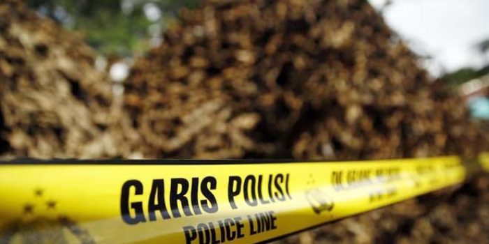 Berkas Perkara Illegal Logging Akan Segera diserahkan ke Kejari TTU